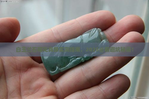 白玉兰石榴花