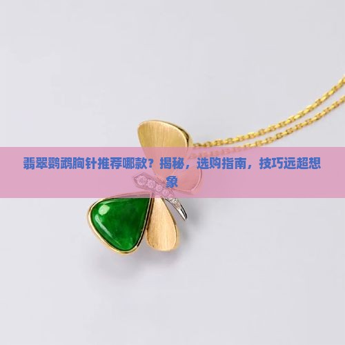 翡翠鹦鹉胸针推荐哪款品牌