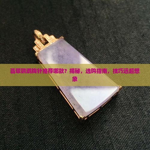 翡翠鹦鹉胸针推荐哪款品牌