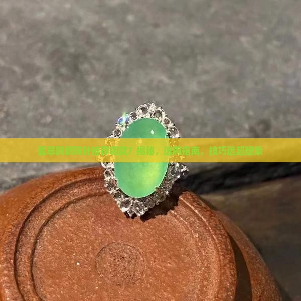 翡翠鹦鹉胸针推荐哪款品牌