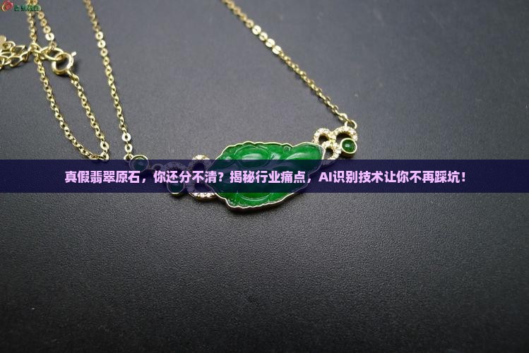 真假翡翠原石