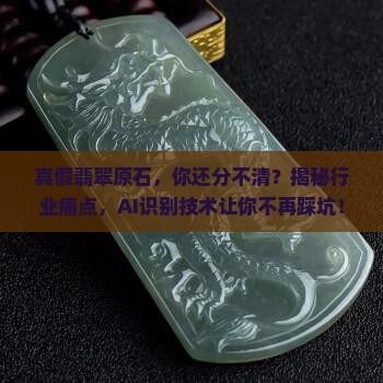 真假翡翠原石