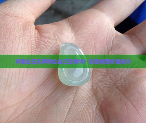 羊脂白玉无事牌会自己变黄吗？极品收藏价值探讨