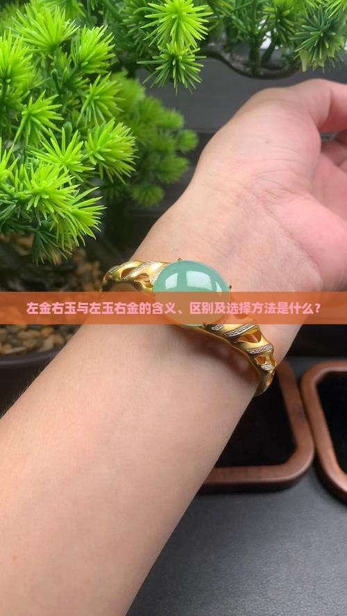 左金右玉与左玉右金的含义、区别及选择方法是什么？