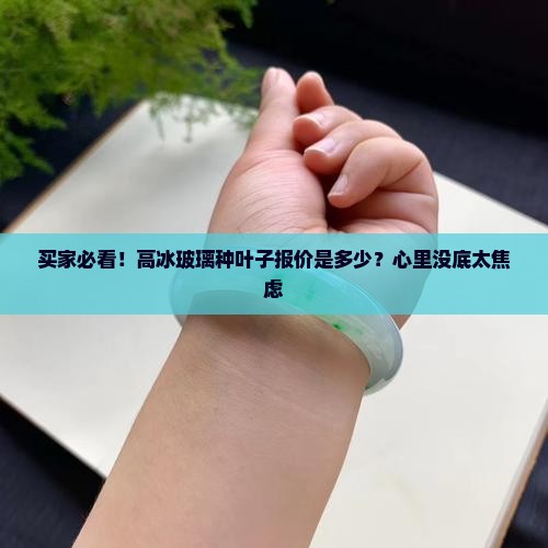 买家必看！高冰玻璃种叶子报价是多少？心里没底太焦虑