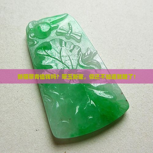 新疆翠青值钱吗？翠玉新宠，你还不知道就晚了！