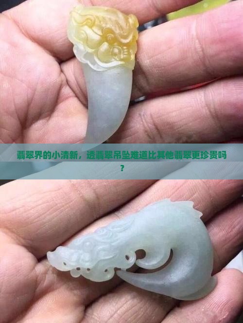 翡翠界的小清新，透翡翠吊坠难道比其他翡翠更珍贵吗？