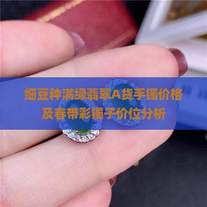 细豆种满绿翡翠A货手镯价格及春带彩镯子价位分析
