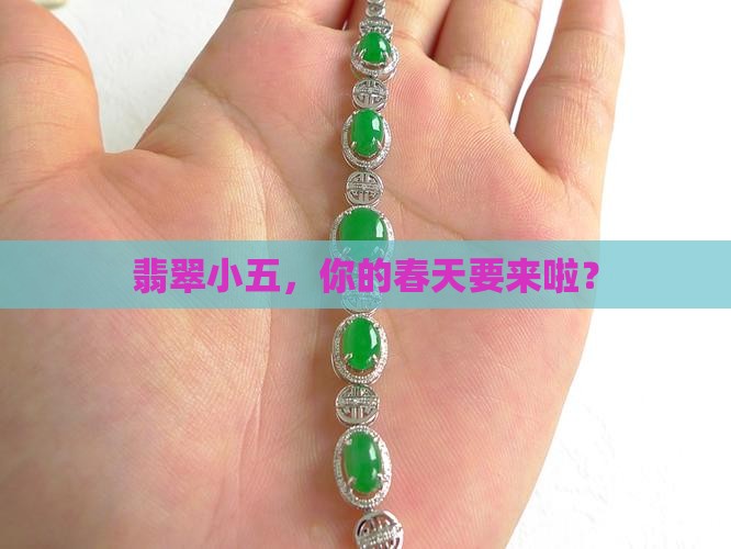翡翠小五，你的春天要来啦？