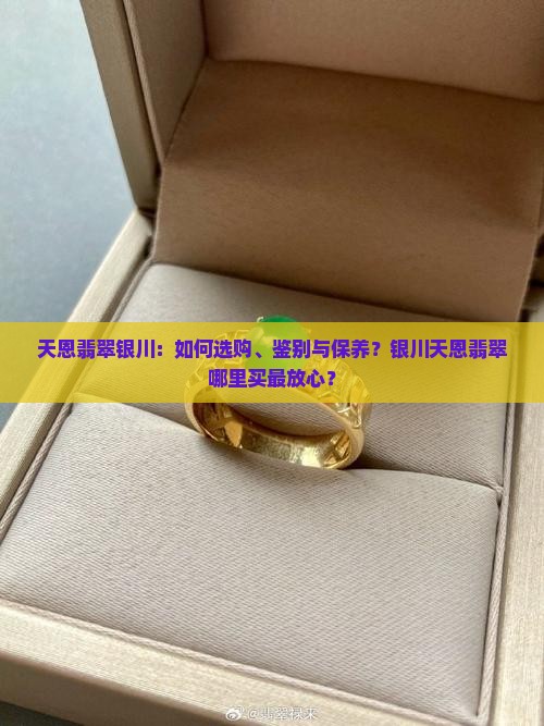天恩翡翠银川：如何选购、鉴别与保养？银川天恩翡翠哪里买最放心？
