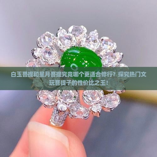 白玉菩提和星月菩提究竟哪个更适合修行？探究热门文玩菩提子的性价比之王！