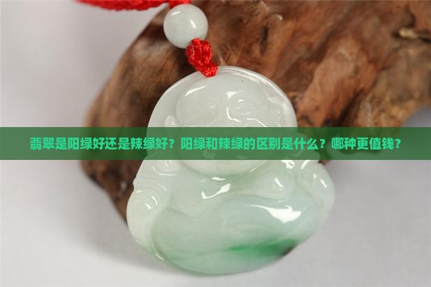 翡翠是阳绿好还是辣绿好？阳绿和辣绿的区别是什么？哪种更值钱？