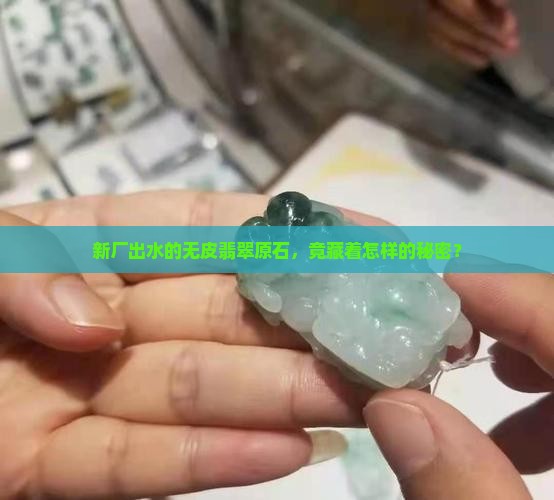 新厂出水的无皮翡翠原石，竟藏着怎样的秘密？