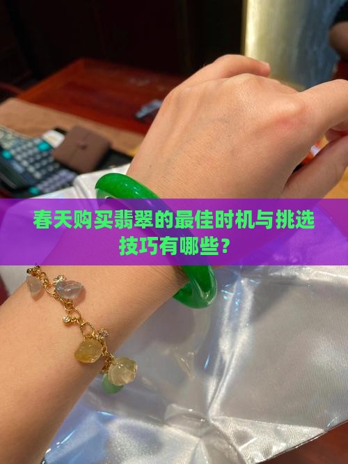 春天购买翡翠的最佳时机与挑选技巧有哪些？