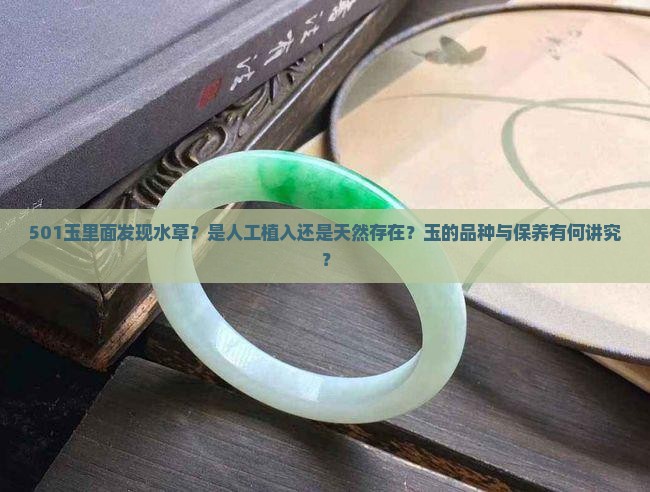 501玉里面发现水草？是人工植入还是天然存在？玉的品种与保养有何讲究？