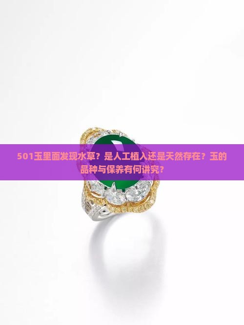 501玉里面发现水草？是人工植入还是天然存在？玉的品种与保养有何讲究？