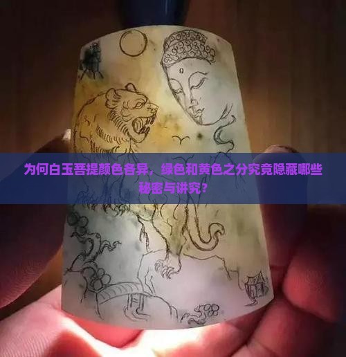 为何白玉菩提颜色各异，绿色和黄色之分究竟隐藏哪些秘密与讲究？
