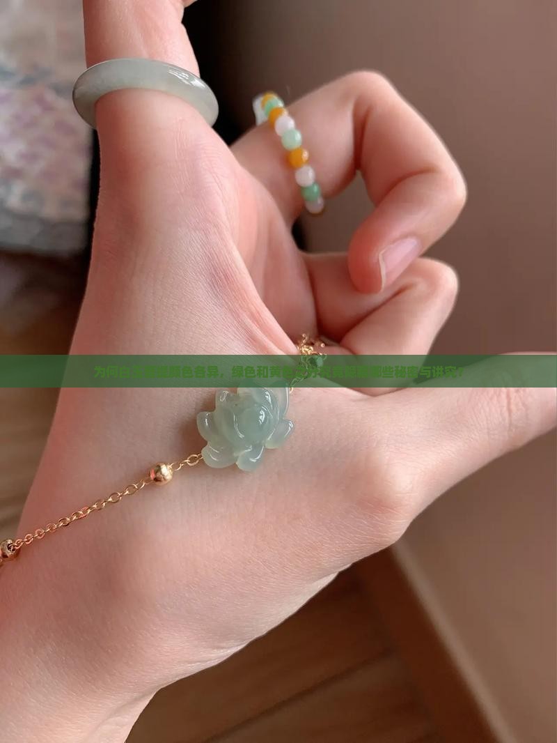 为何白玉菩提颜色各异，绿色和黄色之分究竟隐藏哪些秘密与讲究？