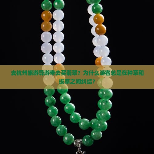 去杭州旅游导游带去买翡翠？为什么游客总是在种草和拔草之间纠结？