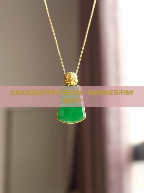 白色紫底玉镯属于哪种玉石品种？其鉴别特征及市场价值如何？