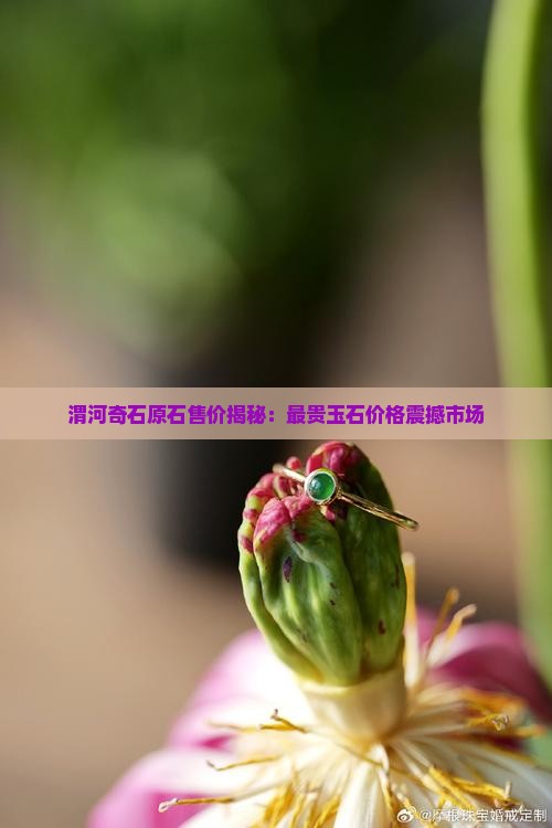 渭河奇石原石售价揭秘：最贵玉石价格震撼市场