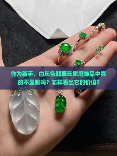 作为新手，白灰色翡翠在家庭饰品中真的不显眼吗？怎样看出它的价值？
