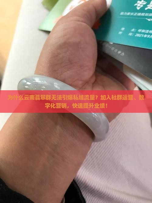 为什么云南翡翠群无法引爆私域流量?加入社群运营、数字化营销,快速提升业绩! 为什么云南翡翠群无法引爆私域流量?加入社群运营、数字化营销,快速提升业绩!
