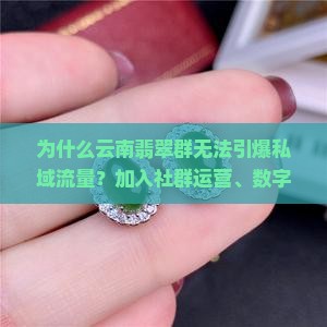 为什么云南翡翠群无法引爆私域流量?加入社群运营、数字化营销,快速提升业绩! 为什么云南翡翠群无法引爆私域流量?加入社群运营、数字化营销,快速提升业绩!