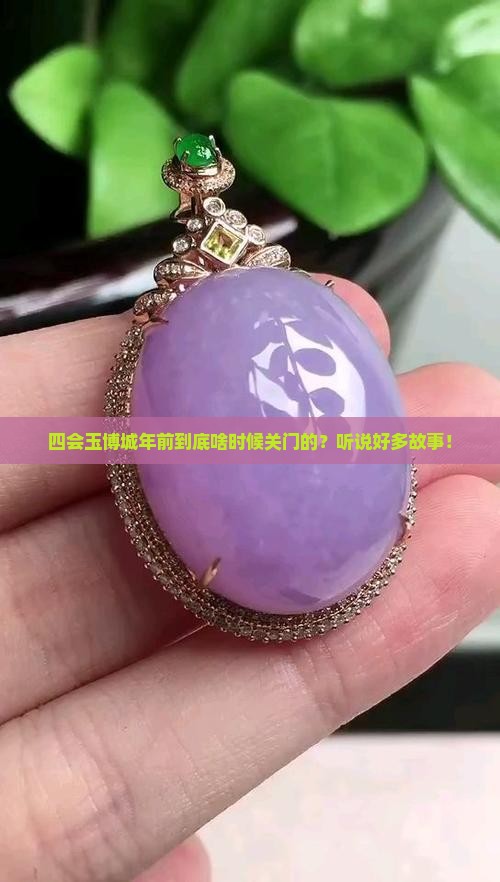 四会玉博城年前到底啥时候关门的?听说好多故事! 四会玉博城年前到底啥时候关门的?听说好多故事!