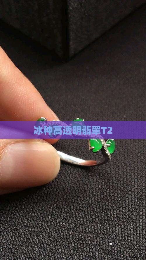 冰种高透明翡翠T2