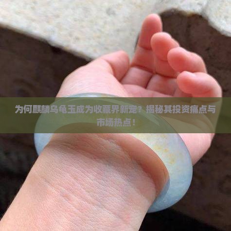 为何麒麟乌龟玉成为收藏界新宠？揭秘其投资痛点与市场热点！