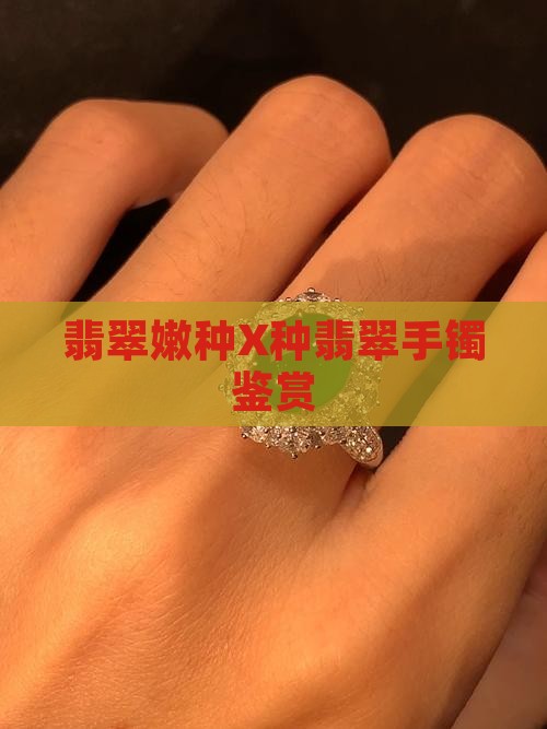 翡翠嫩种X种翡翠手镯鉴赏
