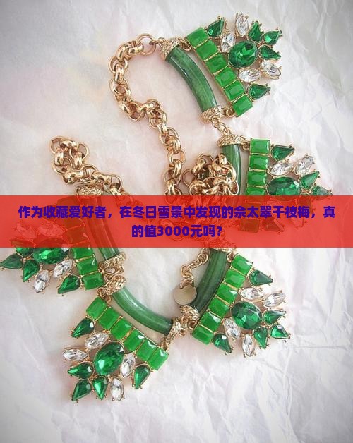 作为收藏爱好者，在冬日雪景中发现的佘太翠干枝梅，真的值3000元吗？