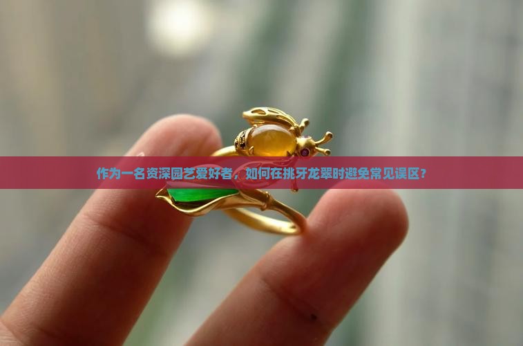 作为一名资深园艺爱好者，如何在挑牙龙翠时避免常见误区？