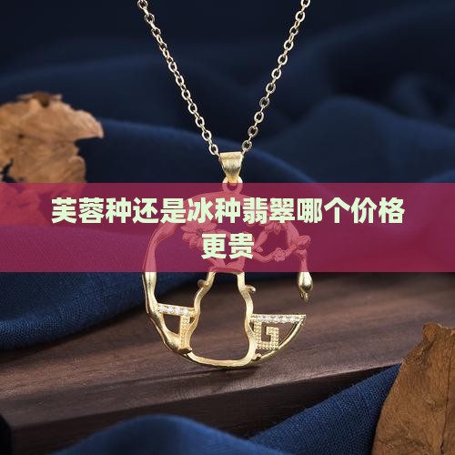 芙蓉种还是冰种翡翠哪个价格更贵