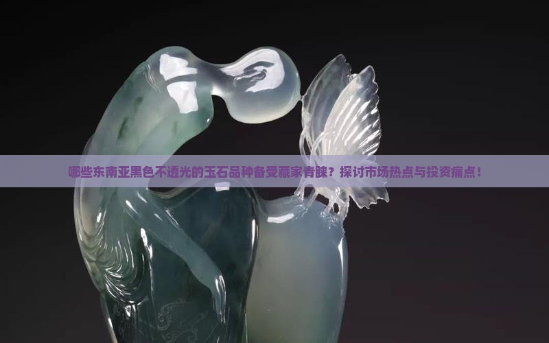 哪些东南亚黑色不透光的玉石品种备受藏家青睐？探讨市场热点与投资痛点！