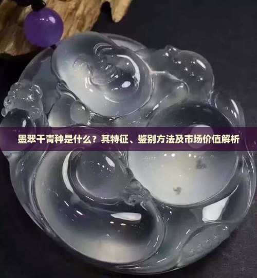 墨翠干青种是什么？其特征、鉴别方法及市场价值解析