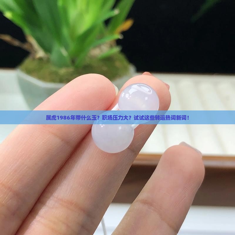 属虎1986年带什么玉？职场压力大？试试这些转运热词新词！