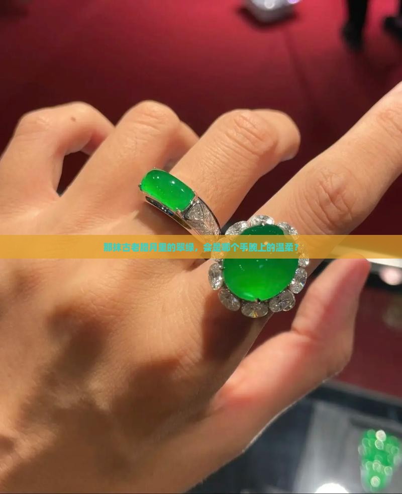 那抹古老腊月里的翠绿，会是哪个手腕上的温柔？
