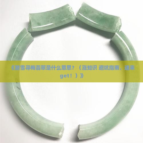 踏雪寻梅翡翠是什么意思