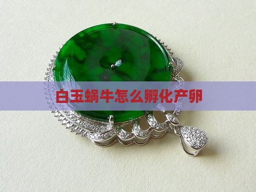 白玉蜗牛产卵了怎么孵化