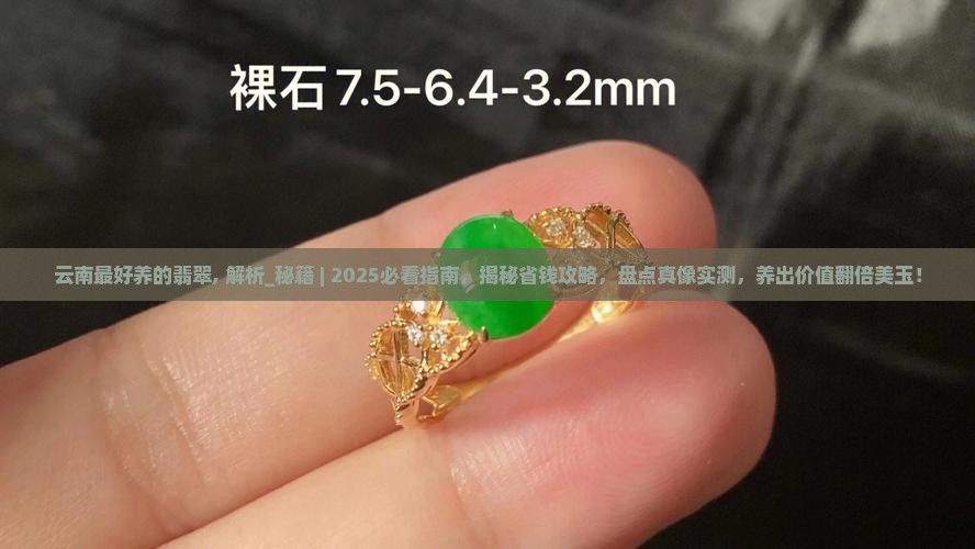 云南最好养的翡翠