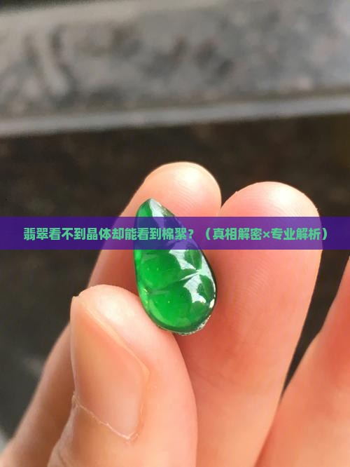 翡翠看不到晶体看得到棉絮怎么回事