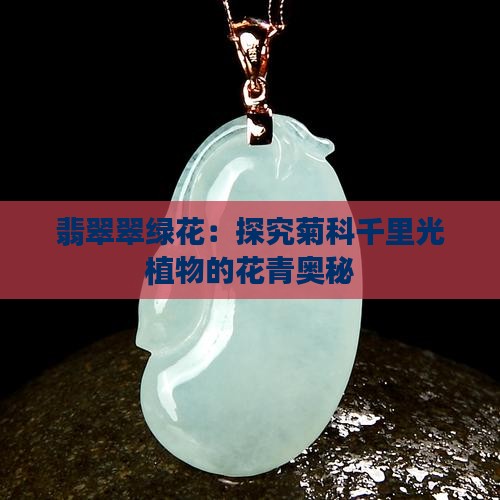 翡翠翠绿花