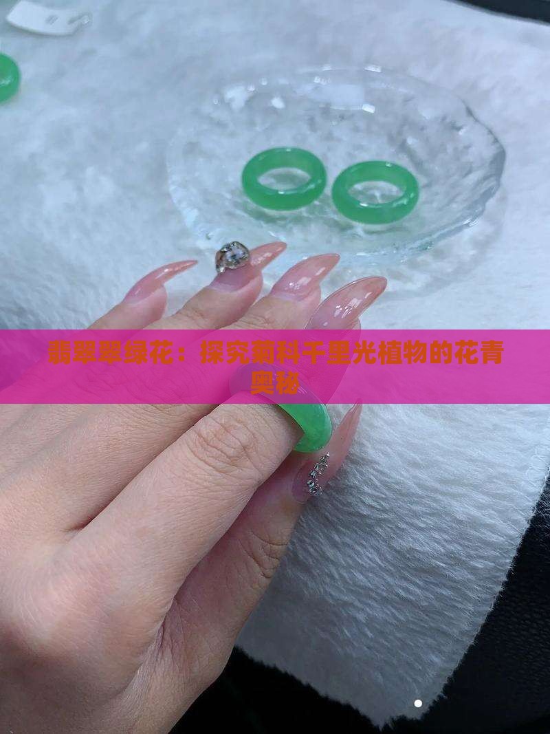 翡翠翠绿花