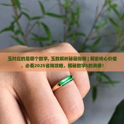 玉对应的是哪个数字