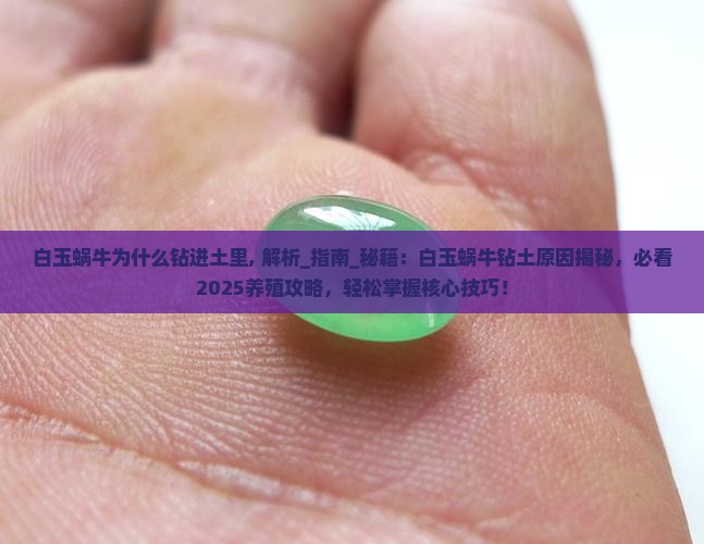 白玉蜗牛为什么钻进土里 白玉蜗牛为什么钻进土里