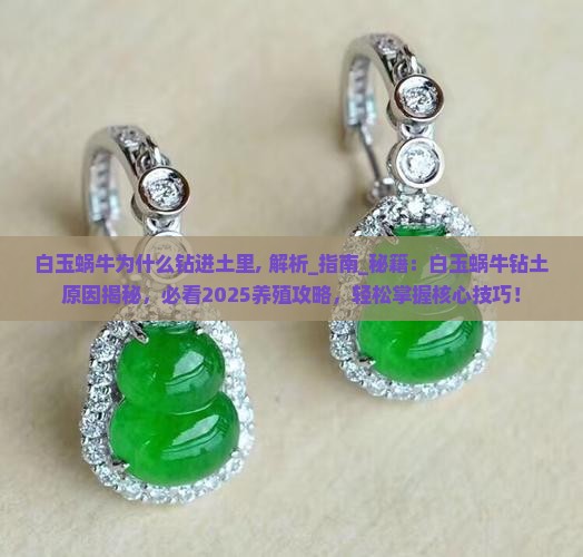 白玉蜗牛为什么钻进土里 白玉蜗牛为什么钻进土里