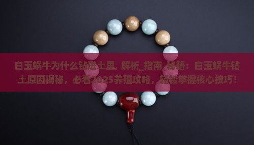 白玉蜗牛为什么钻进土里 白玉蜗牛为什么钻进土里
