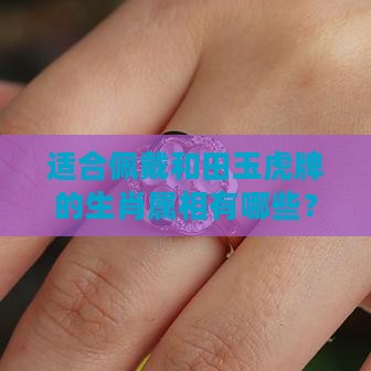 什么属相可以戴和田玉虎牌